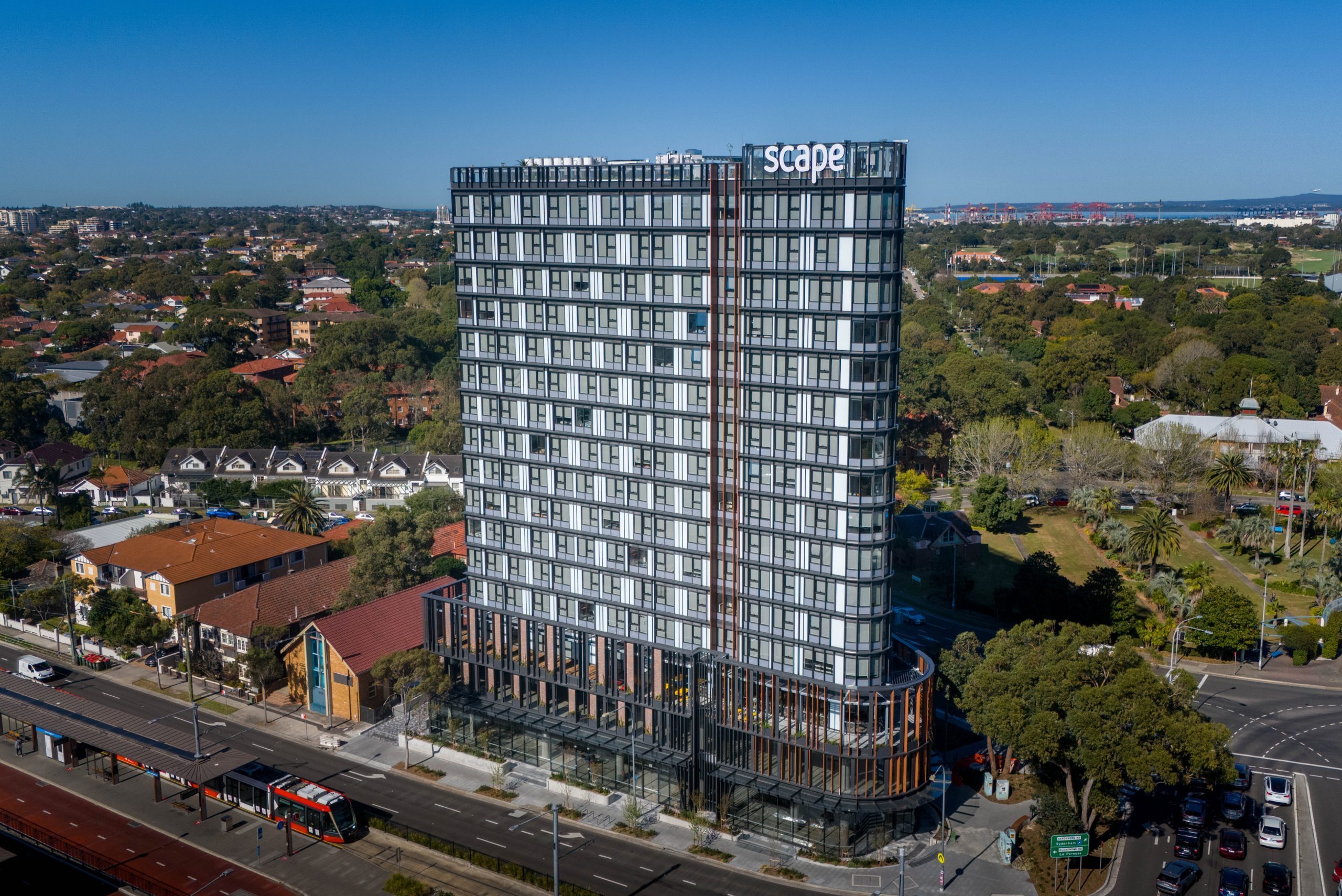 A Closer Look into Scape Kingsford