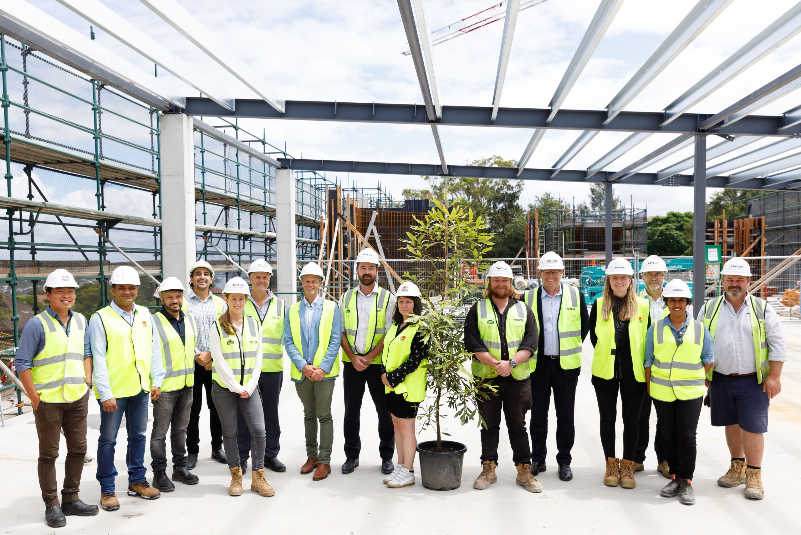 The Transformation of North Sydney Public School