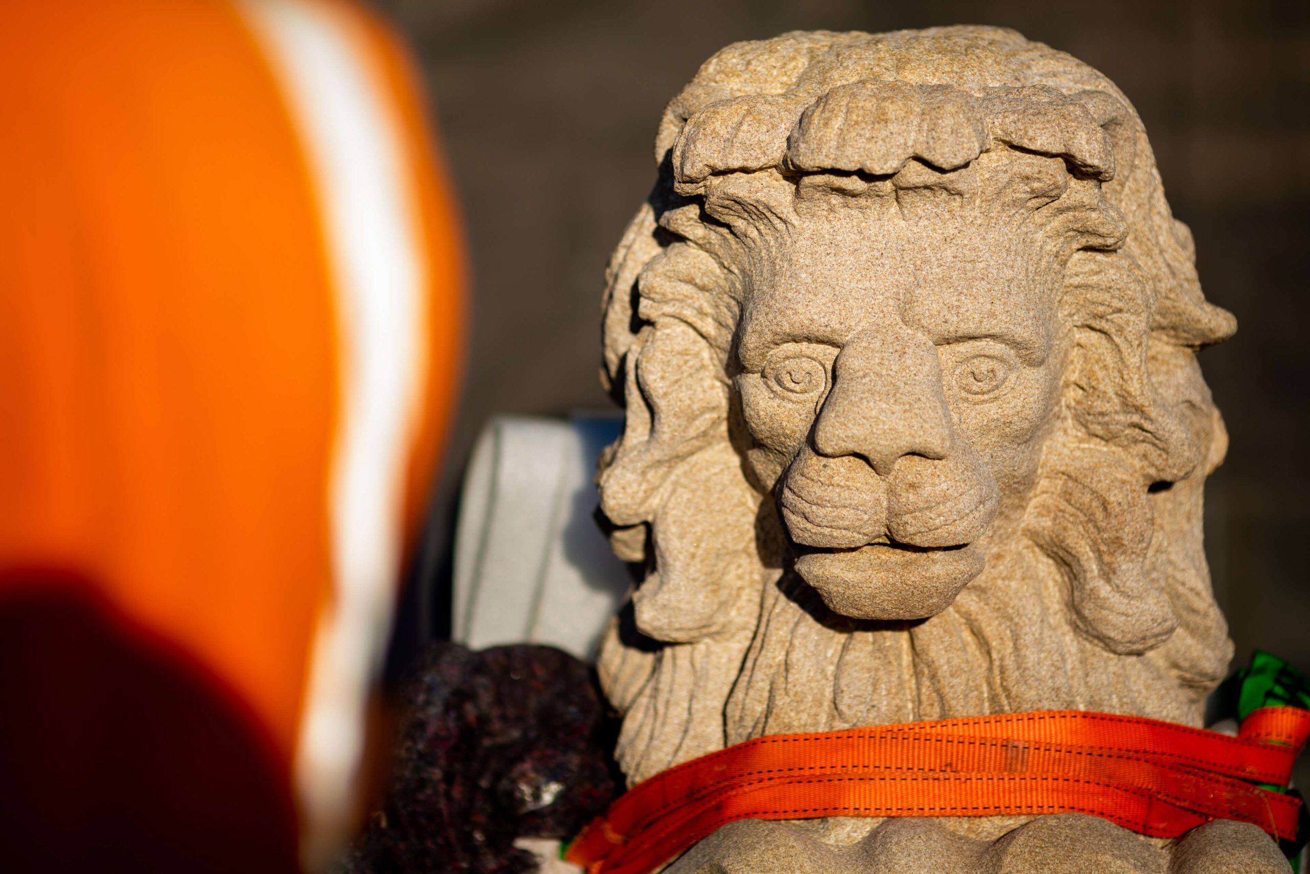 004 close up of lion ornament face in sunlight taylor refurbishment and live environments