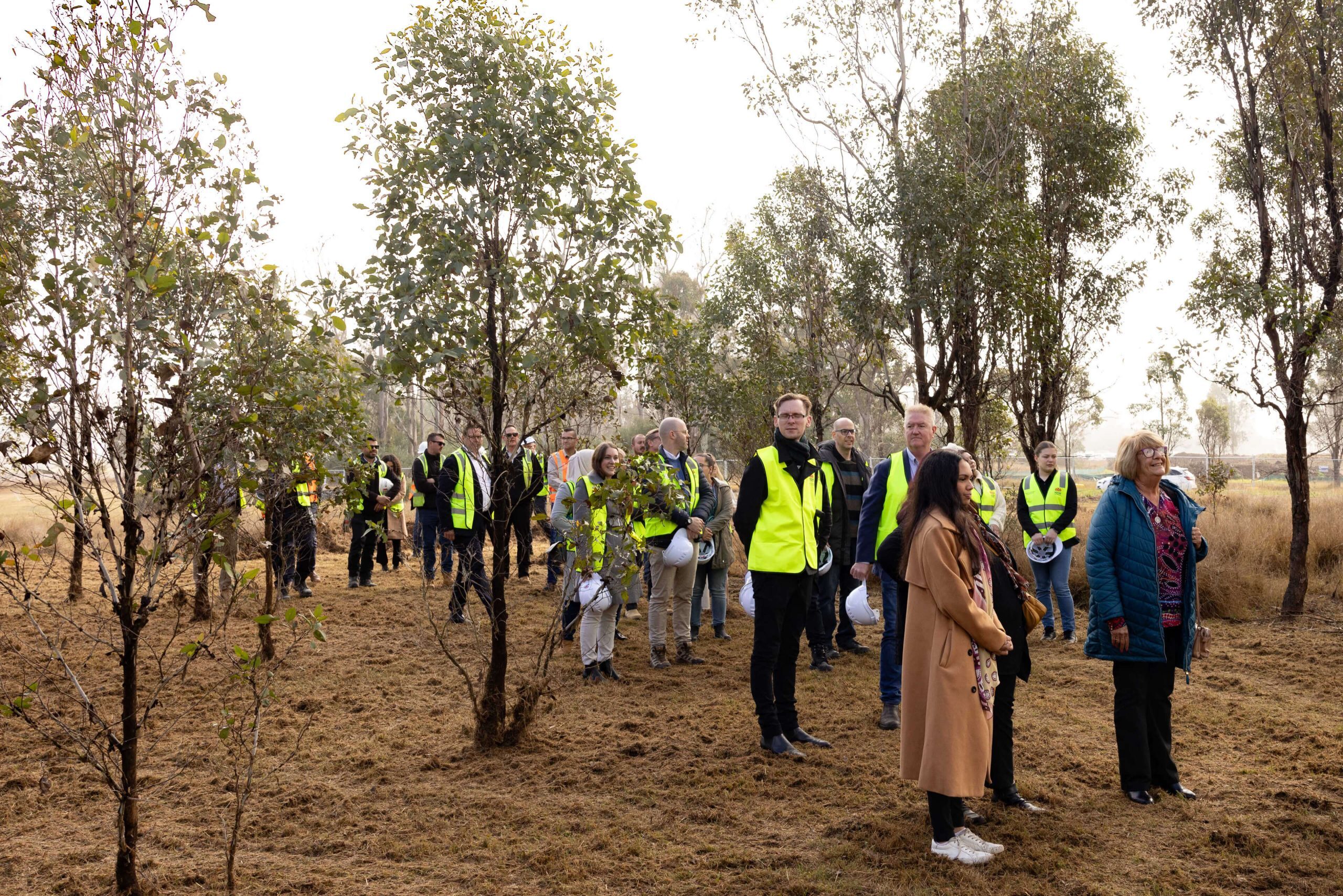naidoc week celebration taylor construction