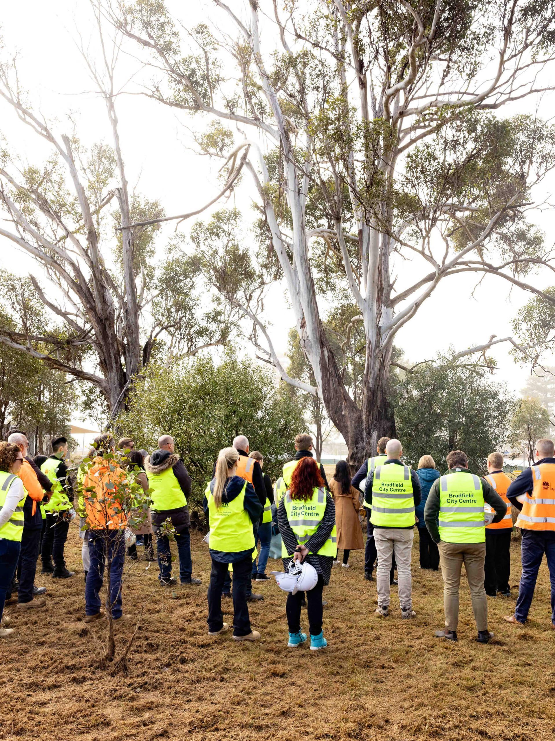 naidoc week celebration taylor construction3